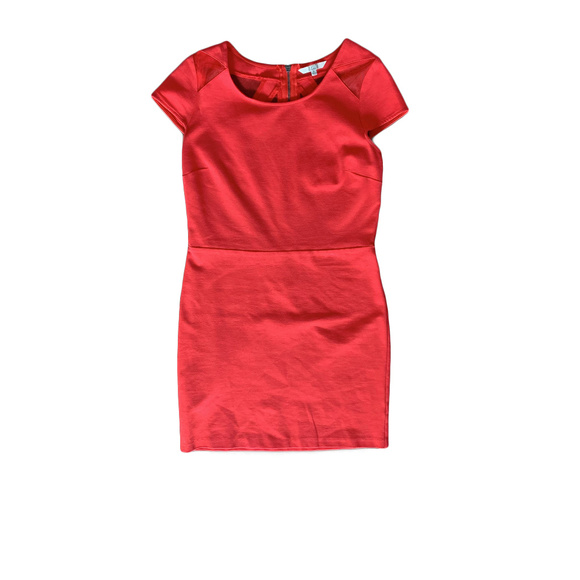 BB Dakota Dresses & Skirts - BB Dakota Cap Sleeve Mesh Exposed Zip Dress